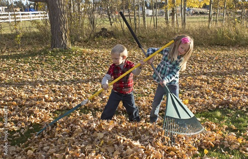 A young boy and a girl raking a big pile of autumn leaves