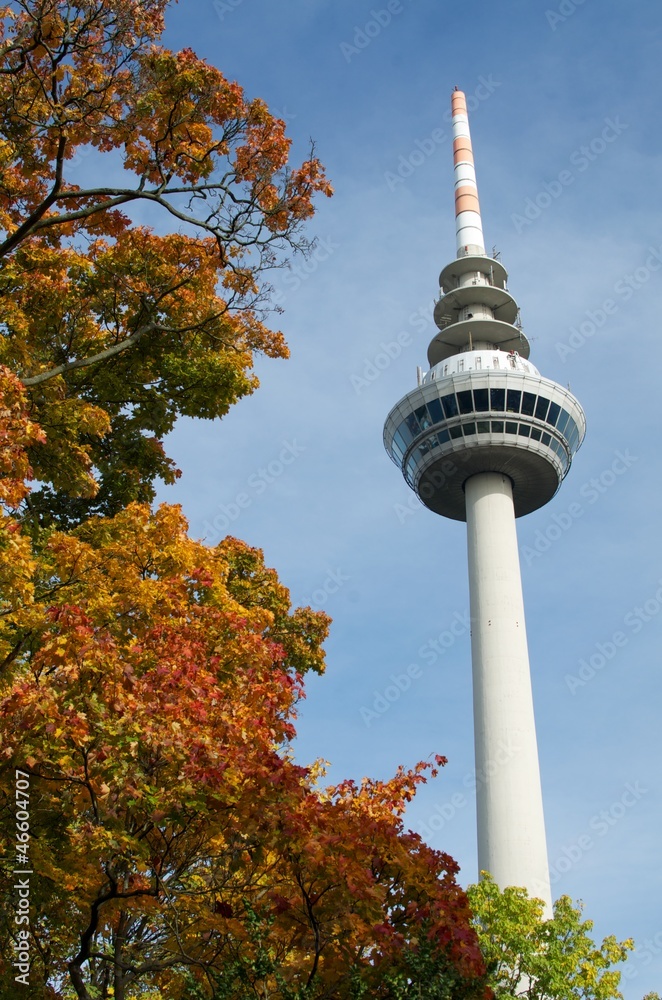 Fototapeta premium Fernsehturm in Mannheim im Herbst