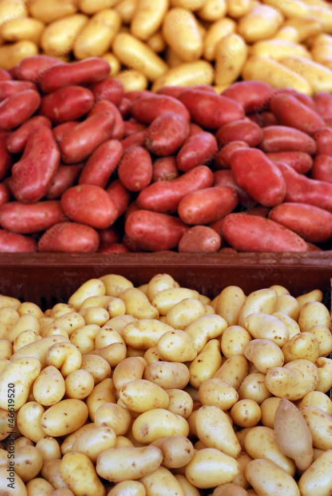 Kartoffeln - verschiedene sorten Kartoffeln - verschiedene sorten
