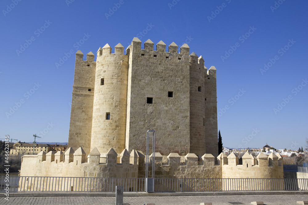 Tower of Calahorra. Cordoba.