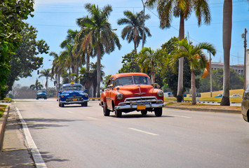 Plexiglas schilderij Cubaanse oldtimers Amerikaanse oldtimers in centrum Havana  © Aleksandar Todorovic