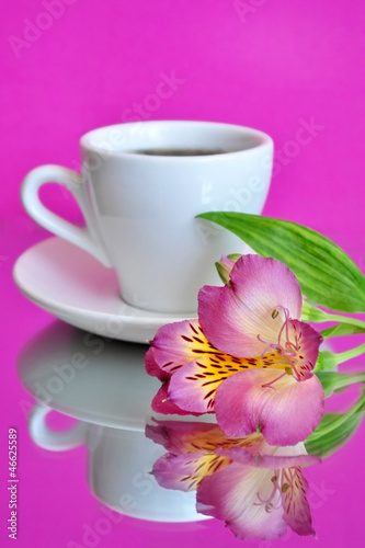 coffee flower pink