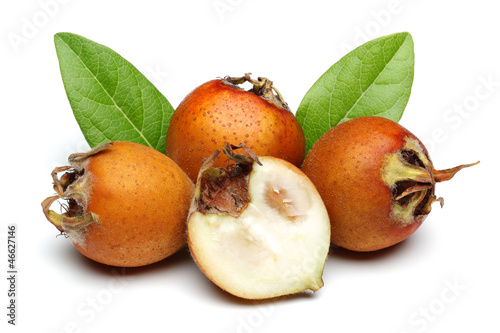 Medlar Fruit photo