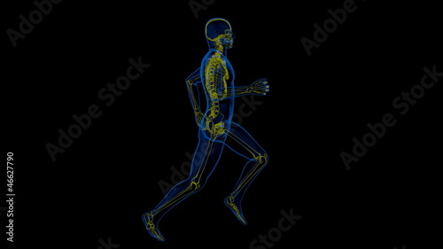 athletic man running with a view of the skeleton photo