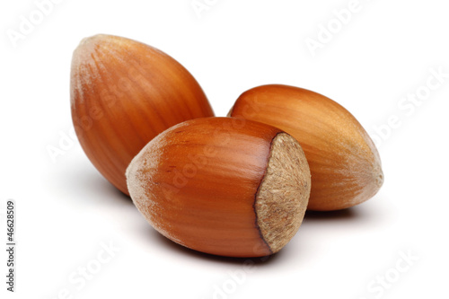 Hazelnuts Group