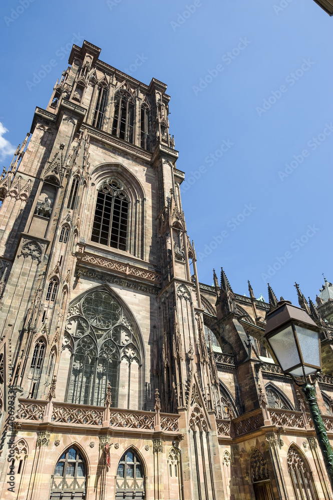Fototapeta premium Strasbourg - The gothic cathedral