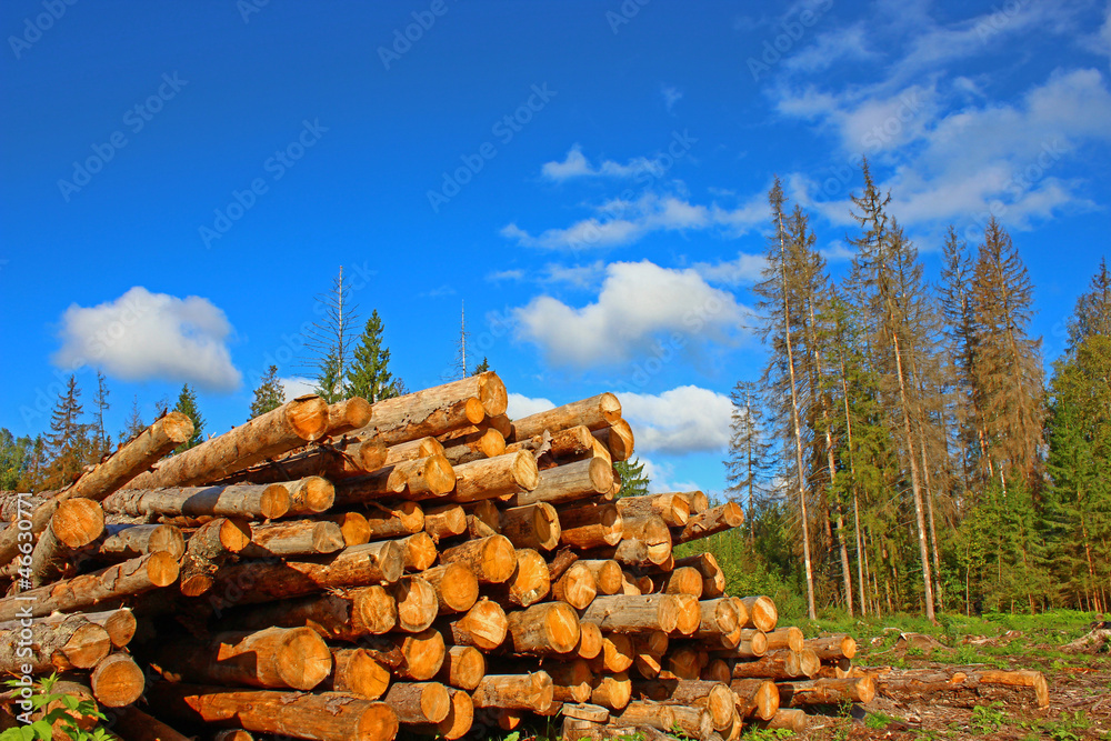 Logging