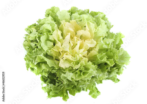 salade scarole