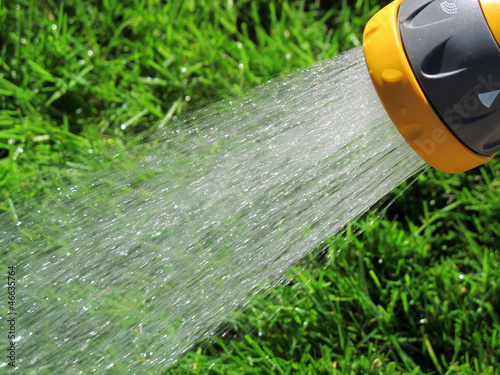 Watering lawn grass with a shower sprayer head