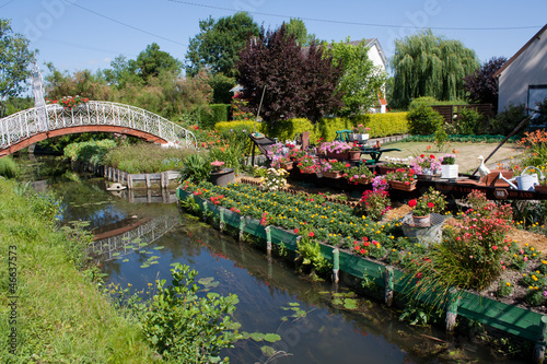 Les hortillons photo