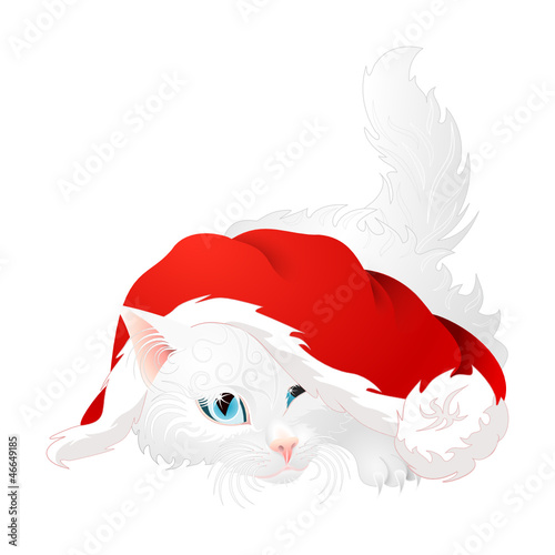 Curious fluffy white angora cat with blue eyes laying sideways, lifted tail,  under red santa hat and playing with pompon as isolated vector for christmas greeting postcards 