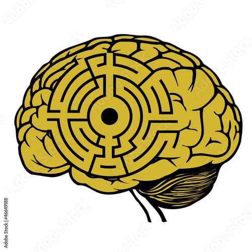 brain with labyrinth model. maze vector illustration