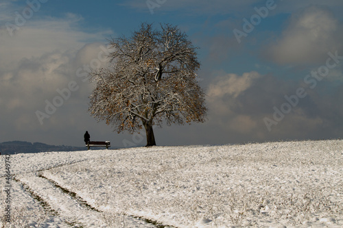 lonely girl sitting under snowy tree