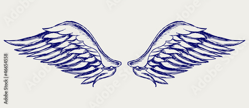 Angel wings. Doodle style
