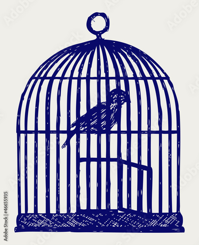 An open brass birdcage and bird. Doodle style