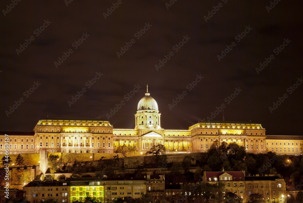 Buda Castle in Budapest (Hungary)