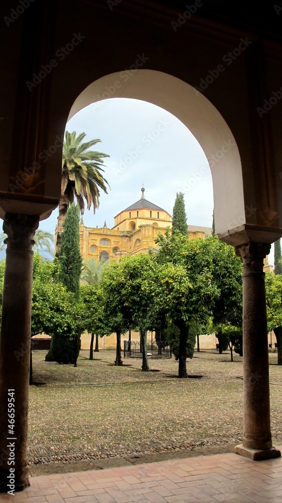 Obraz premium Mezquita VS Catedral.