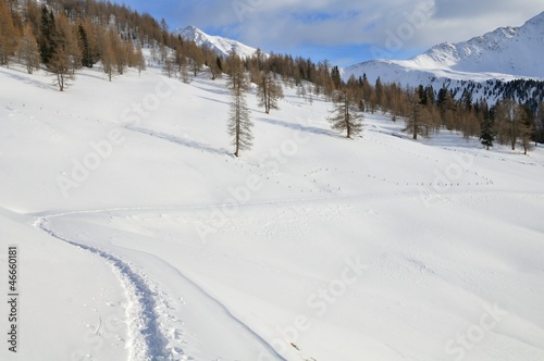 Snowy mountain landscape with snow shoes track