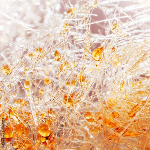 Photography Macro shot of caramel candy-foss with orange sugar drops
