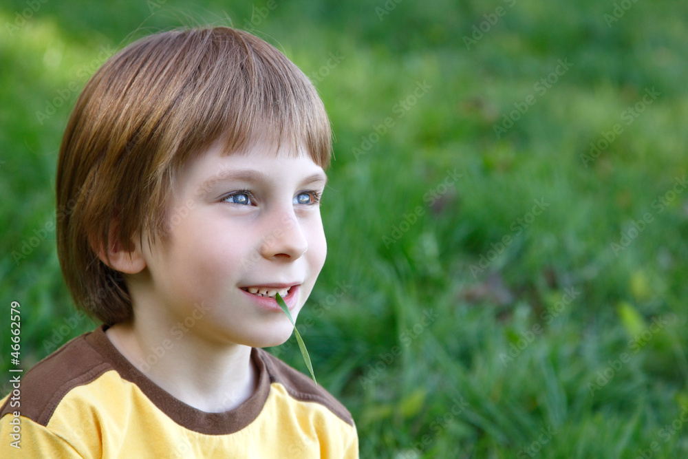 happy little boy dreaming on green grass happy little boy dreaming on green grass