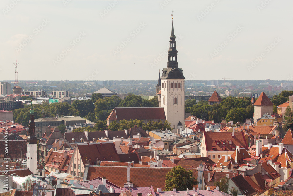 Tallinn. A kind on an old city from Church Oliviste