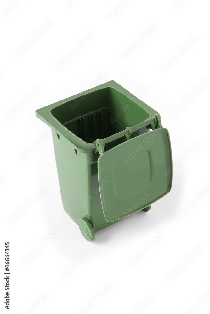 Green wheelie bin