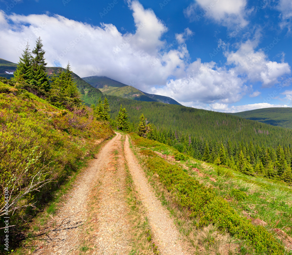 Beautiful summer landscape in the mountains Beautiful summer landscape in the mountains