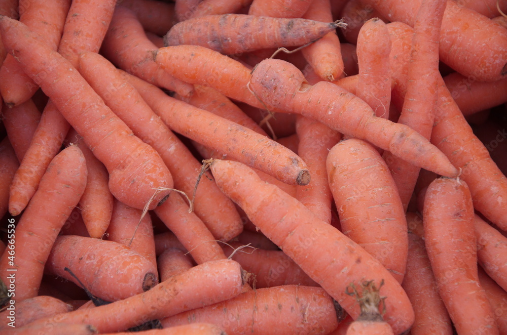 organic carrots at the open space market organic carrots at the open space market