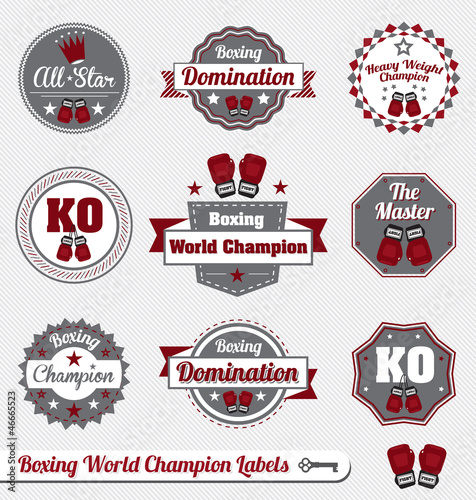 Vector Set: Boxing World Champion Labels and Icons