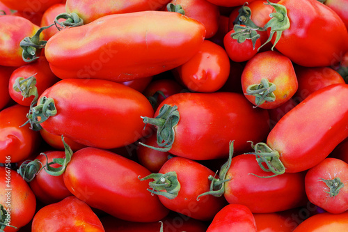 Italian Tomatoes © Robert Keenan