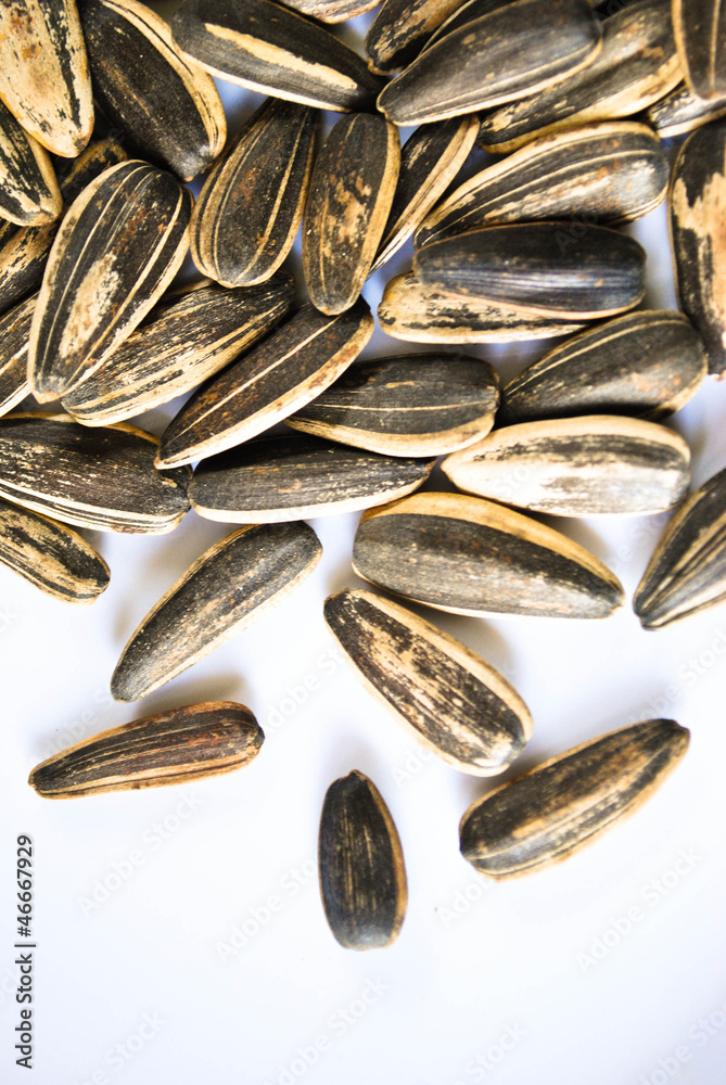 Sunflower seeds