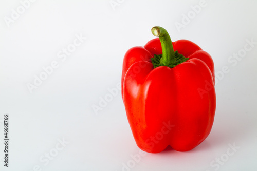 a red pepper on white background