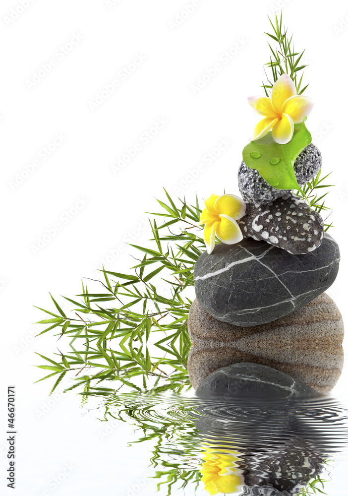 Fototapeta premium composition galet, bambou et fleurs