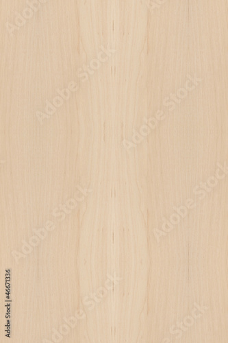 wood Texture
