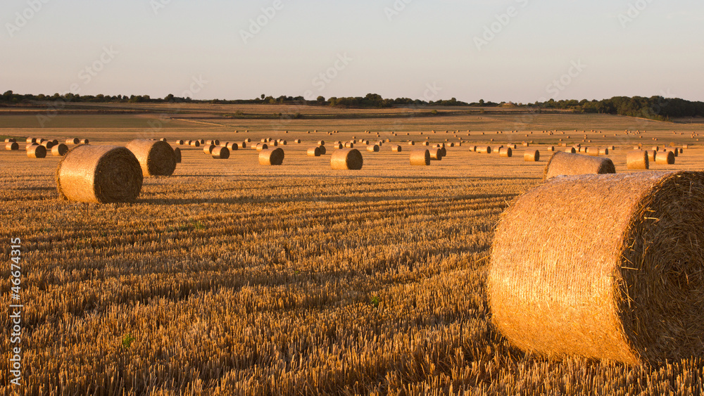 Ballots de foin