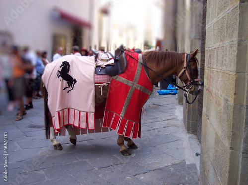 Cavallo da parata photo