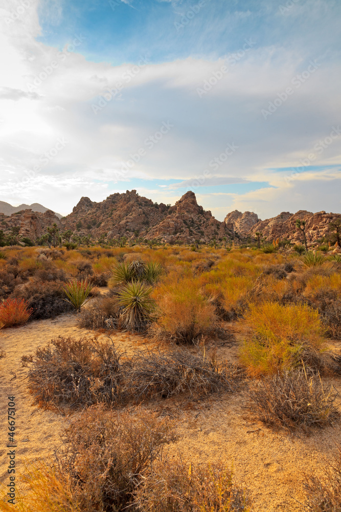 Hidden Valley Mojave Desert Joshua Tree National Park, USA. Hidden Valley Mojave Desert Joshua Tree National Park, USA.