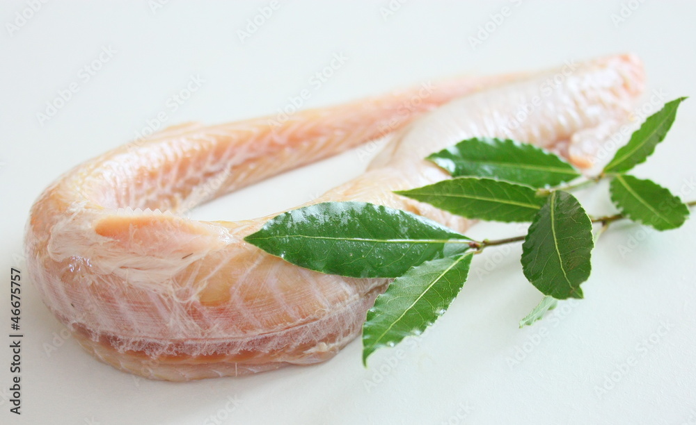 Obraz premium roussette,poisson