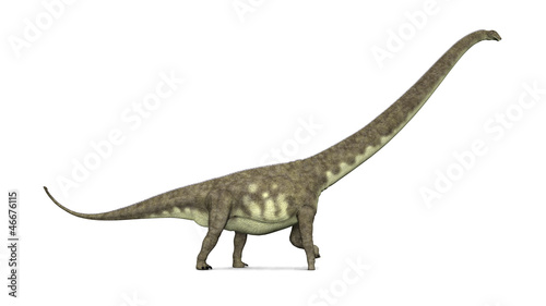 Dinosaurier Mamenchisaurus