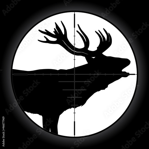 Hunter Scope
