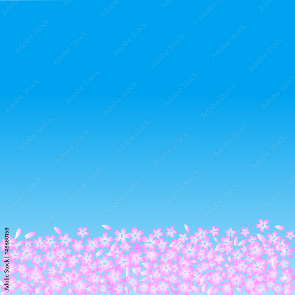 Cherry flowers, vector file