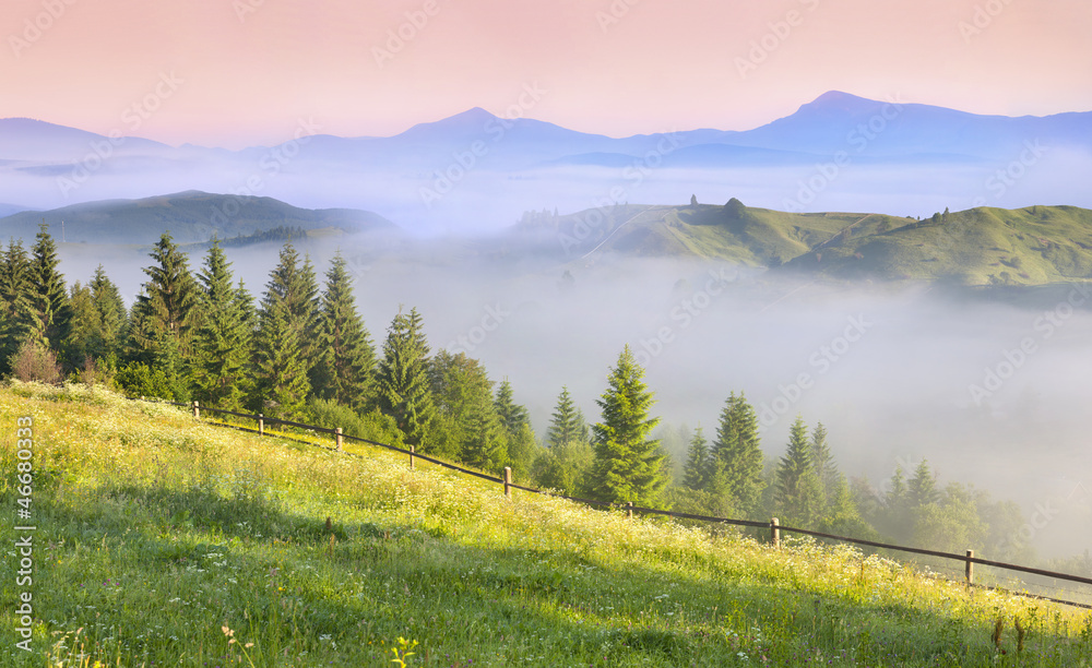 Beautiful spring landscape in the mountains