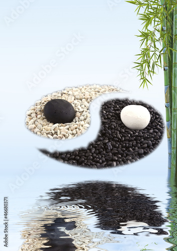 Photo concept zen bambou yin yang