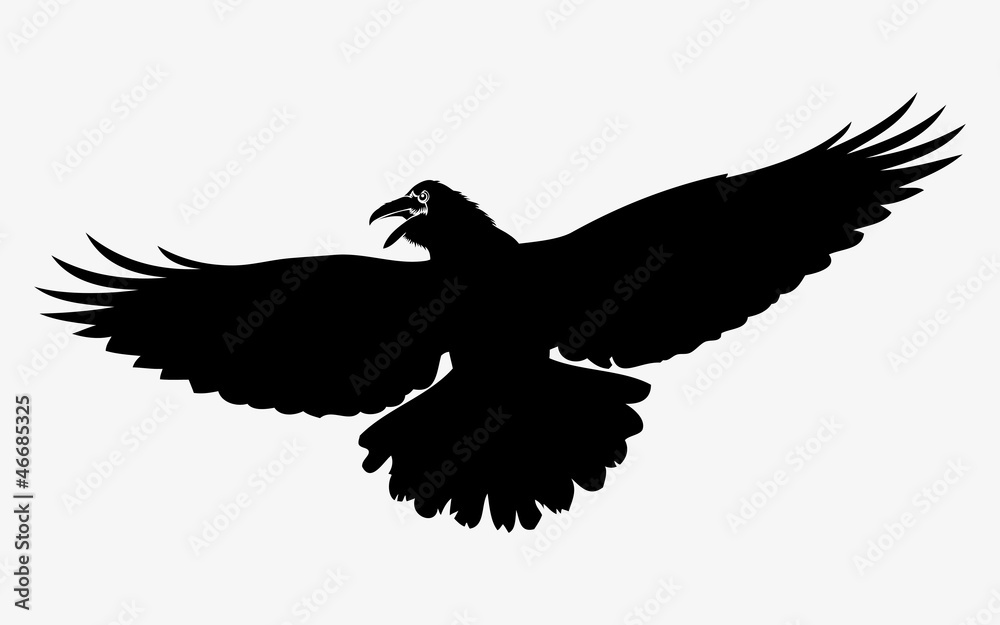 Flying raven Flying raven