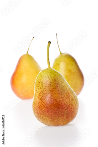 Forelle Pears