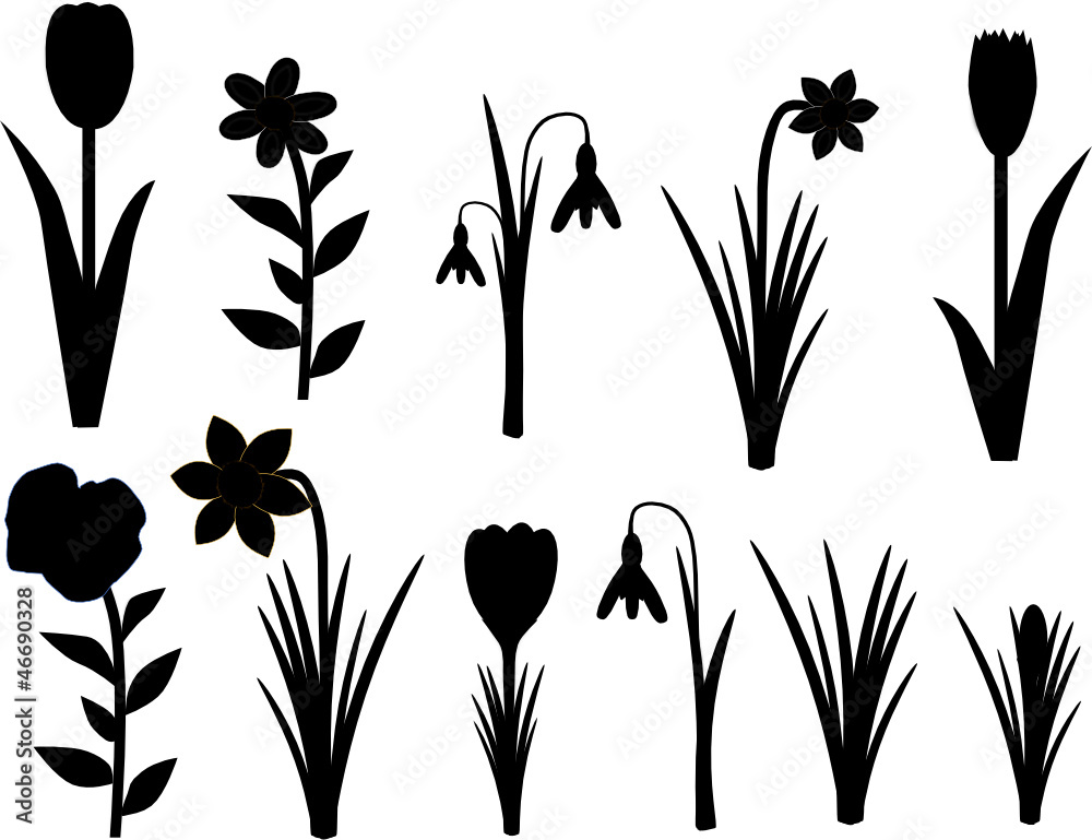 Frühlingsblumen Silhouette Schwarz