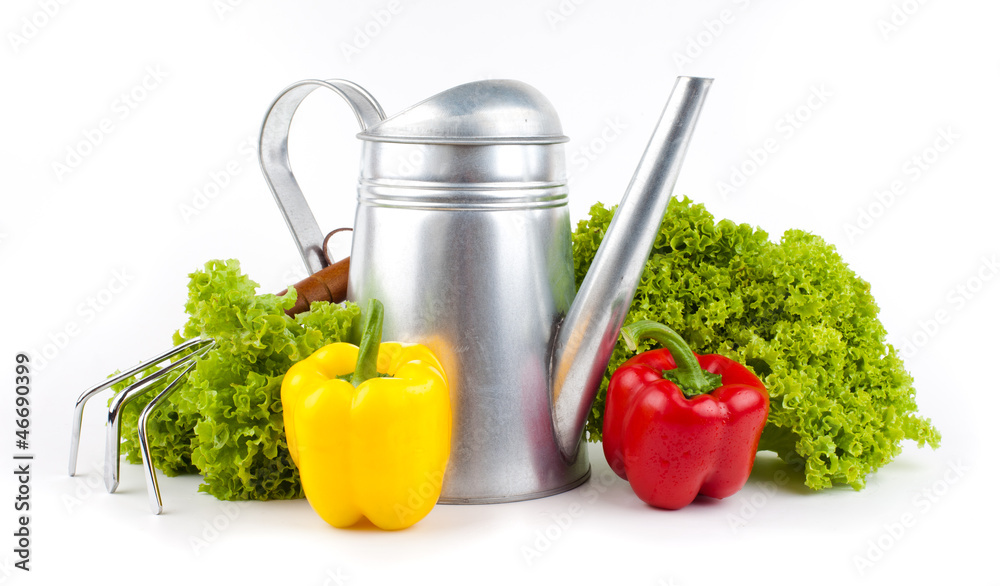 Garden tools and fresh vegetables isolated on white Garden tools and fresh vegetables isolated on white