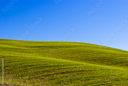 Tuscany, landscape (crete senesi)