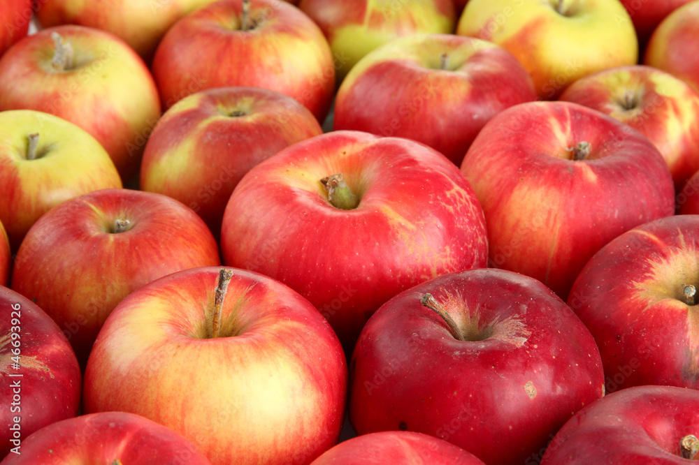 juicy red apples, close up juicy red apples, close up