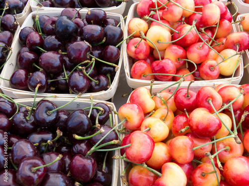 Bing and Rainier Cherries